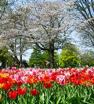 Worldwide travel guides and trip planning